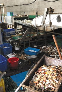 對手抹黑還是行業(yè)亂象？消毒餐具工廠曝光事件背后的博弈